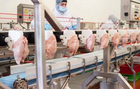 Global Poultry Meat Processing Equipment Market Outlook To 2028 Global Poultry Meat Processing Equipment - Blackbook Executive Recruitment