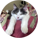 Homepage Lillian Clark profile picture